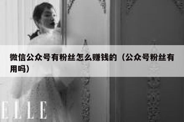 微信公众号有粉丝怎么赚钱的（公众号粉丝有用吗） 第1张
