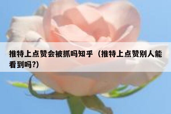 推特上点赞会被抓吗知乎（推特上点赞别人能看到吗?） 第1张