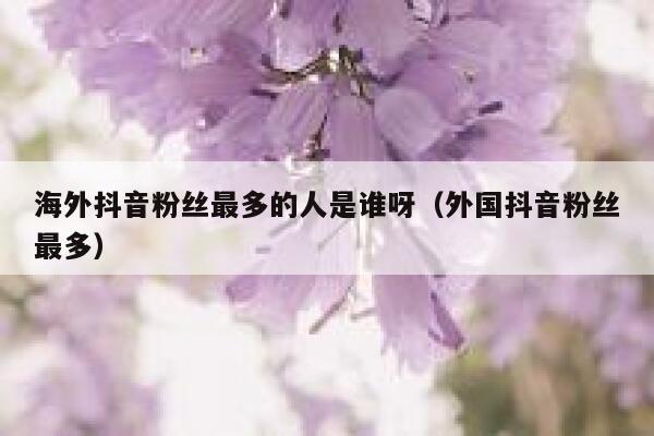 海外抖音粉丝最多的人是谁呀（外国抖音粉丝最多） 第1张