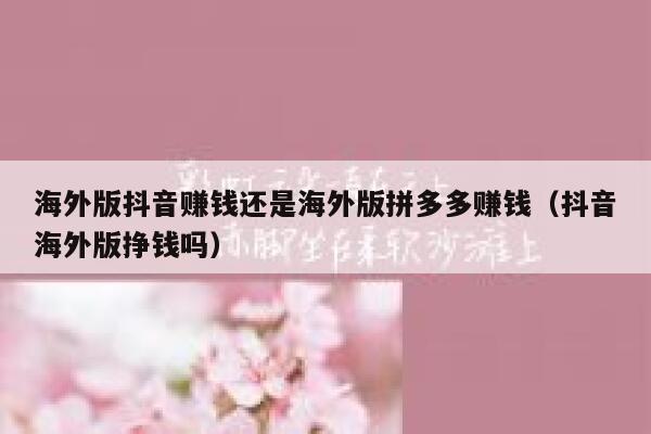 海外版抖音赚钱还是海外版拼多多赚钱（抖音海外版挣钱吗） 第1张