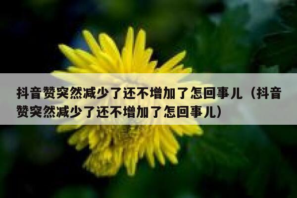 抖音赞突然减少了还不增加了怎回事儿（抖音赞突然减少了还不增加了怎回事儿） 第1张