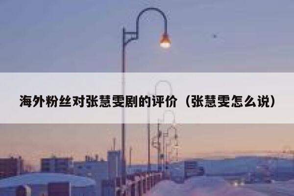 海外粉丝对张慧雯剧的评价（张慧雯怎么说） 第1张