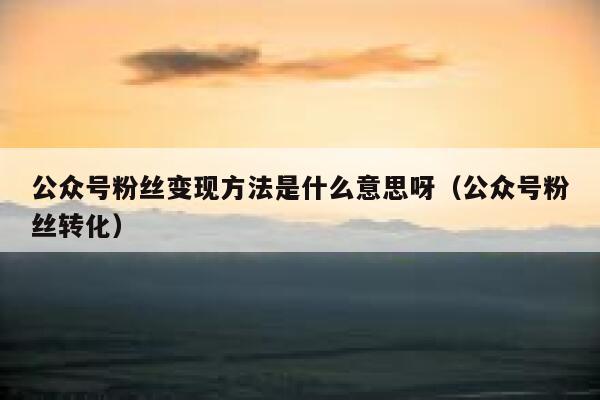 公众号粉丝变现方法是什么意思呀（公众号粉丝转化） 第1张