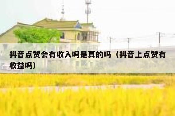 抖音点赞会有收入吗是真的吗（抖音上点赞有收益吗） 第1张