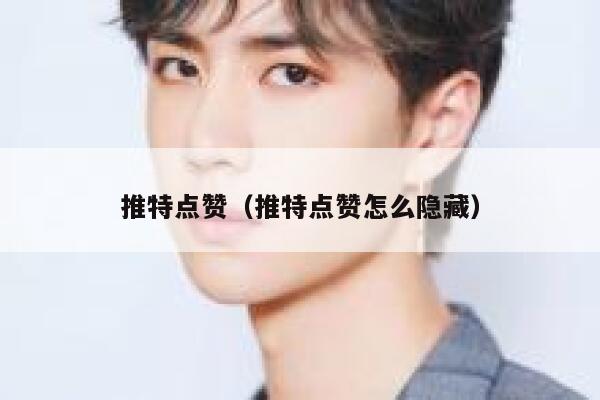 推特点赞（推特点赞怎么隐藏） 第1张