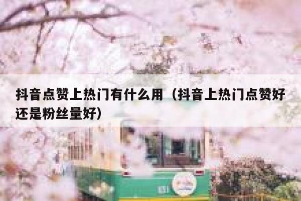 抖音点赞上热门有什么用（抖音上热门点赞好还是粉丝量好） 第1张