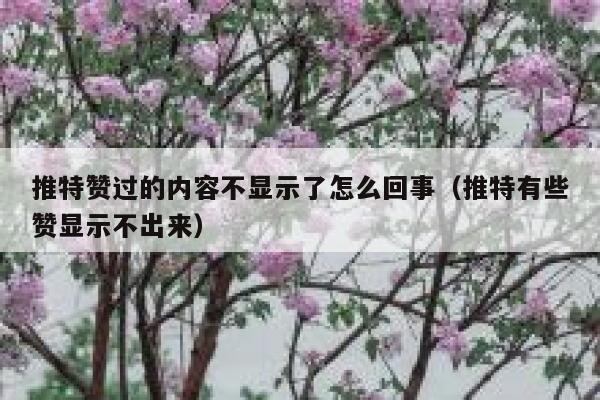 推特赞过的内容不显示了怎么回事（推特有些赞显示不出来） 第1张