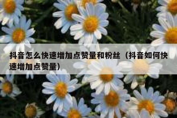 抖音怎么快速增加点赞量和粉丝（抖音如何快速增加点赞量） 第1张