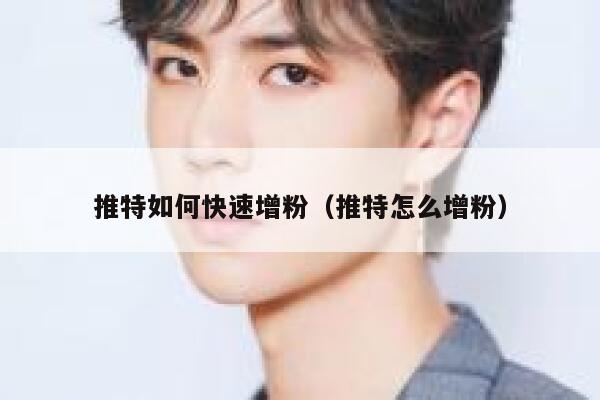 推特如何快速增粉（推特怎么增粉） 第1张