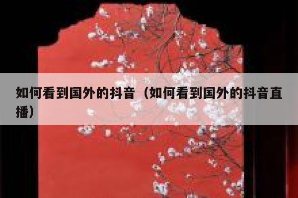 如何看到国外的抖音（如何看到国外的抖音直播） 第1张