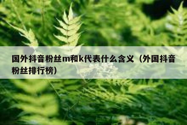 国外抖音粉丝m和k代表什么含义（外国抖音粉丝排行榜） 第1张