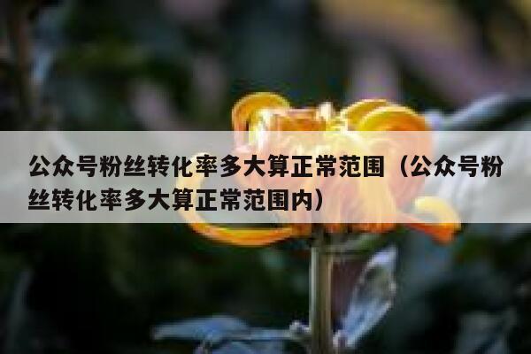 公众号粉丝转化率多大算正常范围（公众号粉丝转化率多大算正常范围内） 第1张
