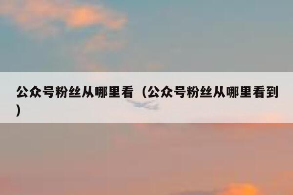 公众号粉丝从哪里看（公众号粉丝从哪里看到） 第1张