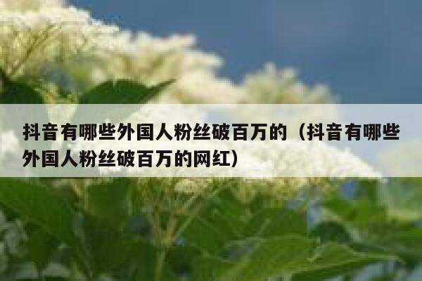 抖音有哪些外国人粉丝破百万的（抖音有哪些外国人粉丝破百万的网红） 第1张
