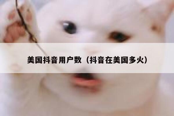 美国抖音用户数（抖音在美国多火） 第1张