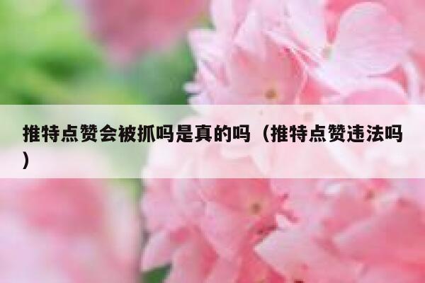 推特点赞会被抓吗是真的吗（推特点赞违法吗） 第1张