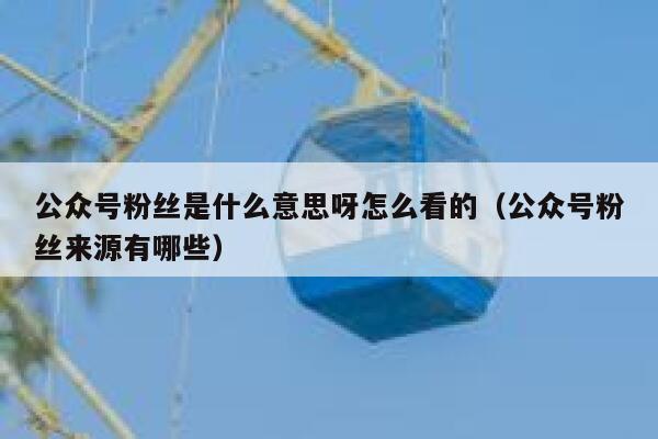公众号粉丝是什么意思呀怎么看的（公众号粉丝来源有哪些） 第1张