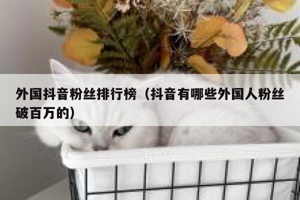 外国抖音粉丝排行榜（抖音有哪些外国人粉丝破百万的） 第1张