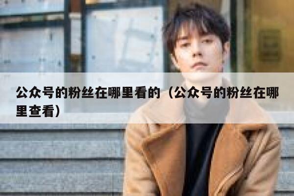公众号的粉丝在哪里看的（公众号的粉丝在哪里查看） 第1张