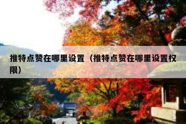 推特点赞在哪里设置（推特点赞在哪里设置权限） 第1张