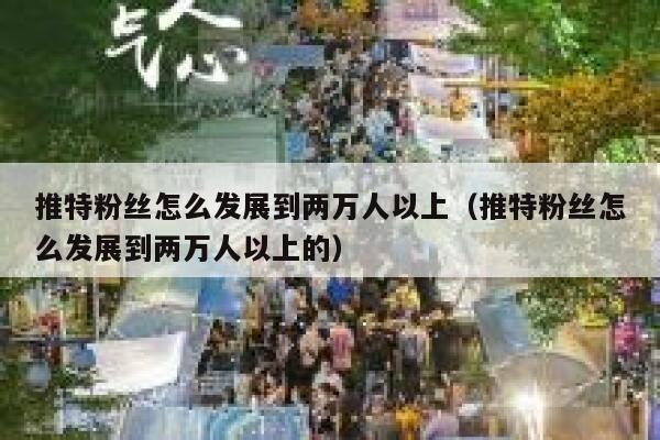 推特粉丝怎么发展到两万人以上（推特粉丝怎么发展到两万人以上的） 第1张