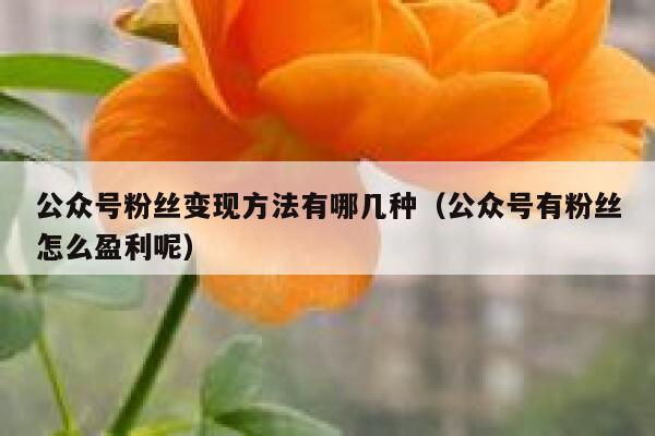 公众号粉丝变现方法有哪几种（公众号有粉丝怎么盈利呢） 第1张