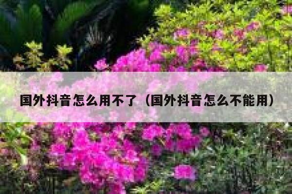 国外抖音怎么用不了（国外抖音怎么不能用） 第1张