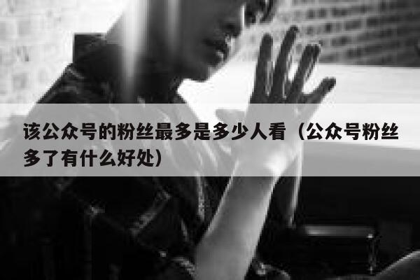 该公众号的粉丝最多是多少人看（公众号粉丝多了有什么好处） 第1张