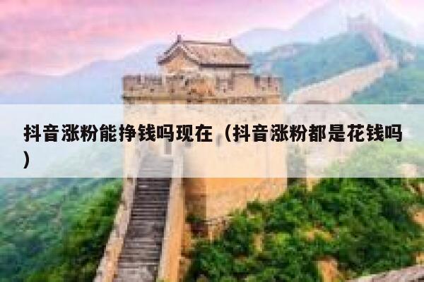 抖音涨粉能挣钱吗现在（抖音涨粉都是花钱吗） 第1张