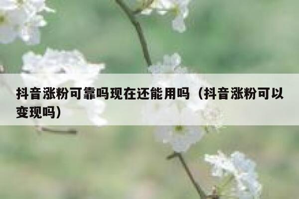 抖音涨粉可靠吗现在还能用吗（抖音涨粉可以变现吗） 第1张