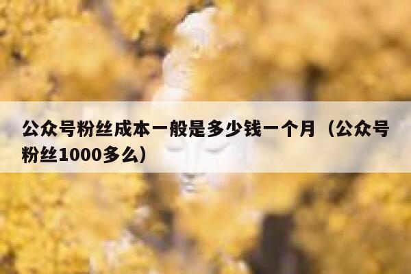 公众号粉丝成本一般是多少钱一个月（公众号粉丝1000多么） 第1张