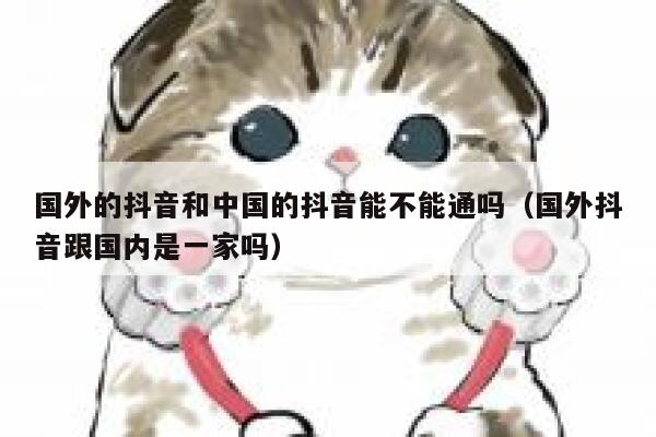 国外的抖音和中国的抖音能不能通吗（国外抖音跟国内是一家吗） 第1张