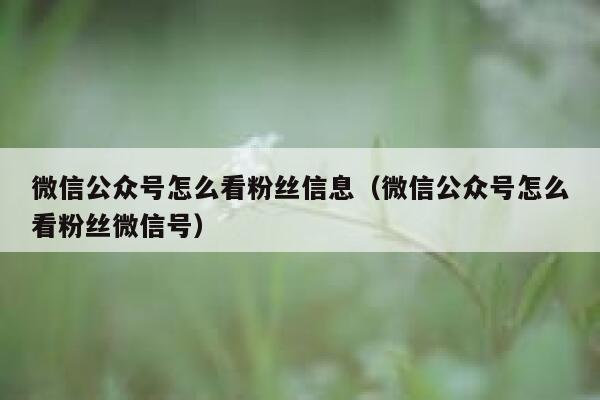 微信公众号怎么看粉丝信息（微信公众号怎么看粉丝微信号） 第1张