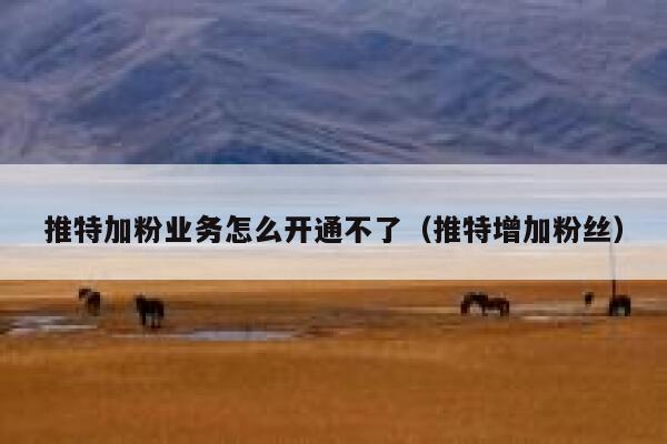 推特加粉业务怎么开通不了（推特增加粉丝） 第1张