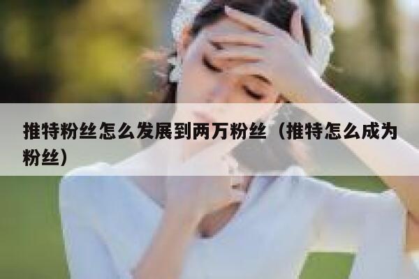 推特粉丝怎么发展到两万粉丝（推特怎么成为粉丝） 第1张