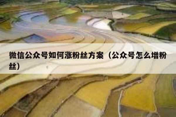 微信公众号如何涨粉丝方案（公众号怎么增粉丝） 第1张