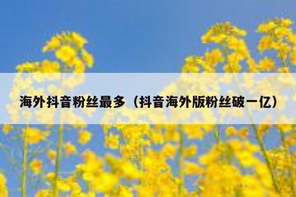 海外抖音粉丝最多（抖音海外版粉丝破一亿） 第1张