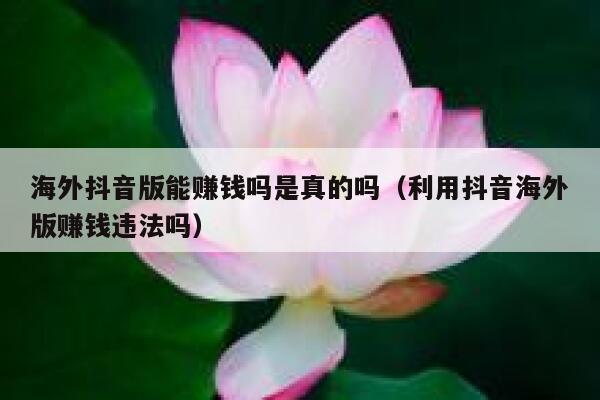 海外抖音版能赚钱吗是真的吗（利用抖音海外版赚钱违法吗） 第1张