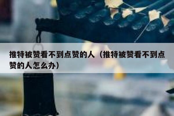 推特被赞看不到点赞的人（推特被赞看不到点赞的人怎么办） 第1张
