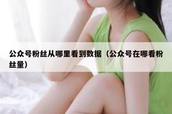 公众号粉丝从哪里看到数据（公众号在哪看粉丝量） 第1张