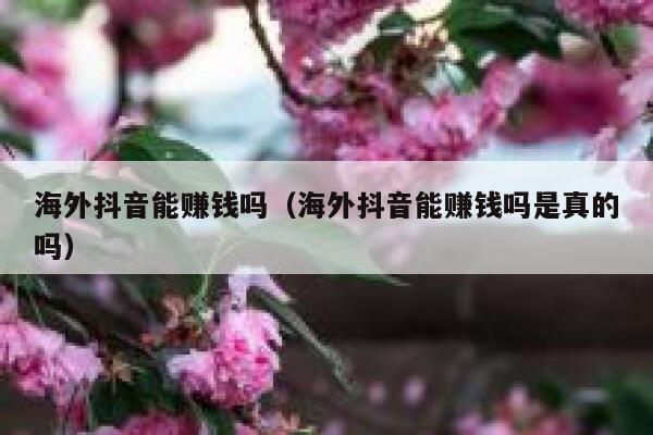海外抖音能赚钱吗（海外抖音能赚钱吗是真的吗） 第1张