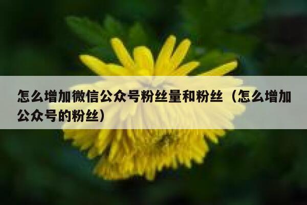 怎么增加微信公众号粉丝量和粉丝（怎么增加公众号的粉丝） 第1张