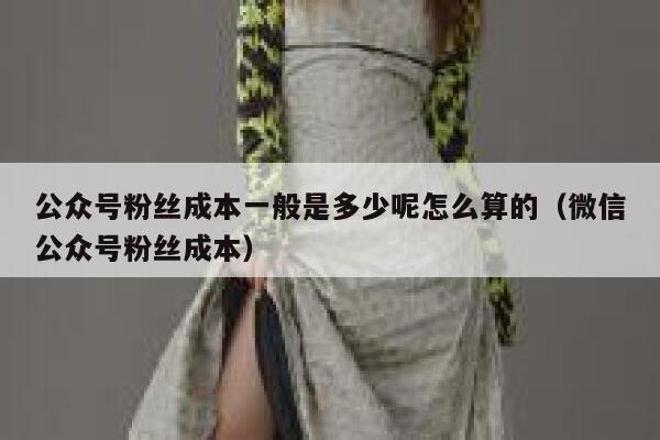 公众号粉丝成本一般是多少呢怎么算的（微信公众号粉丝成本） 第1张