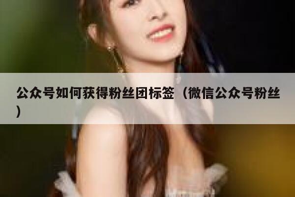 公众号如何获得粉丝团标签（微信公众号粉丝） 第1张
