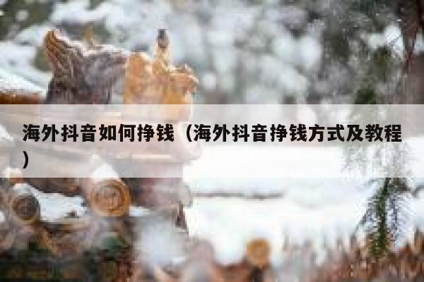 海外抖音如何挣钱（海外抖音挣钱方式及教程） 第1张