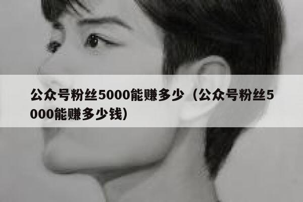 公众号粉丝5000能赚多少（公众号粉丝5000能赚多少钱） 第1张