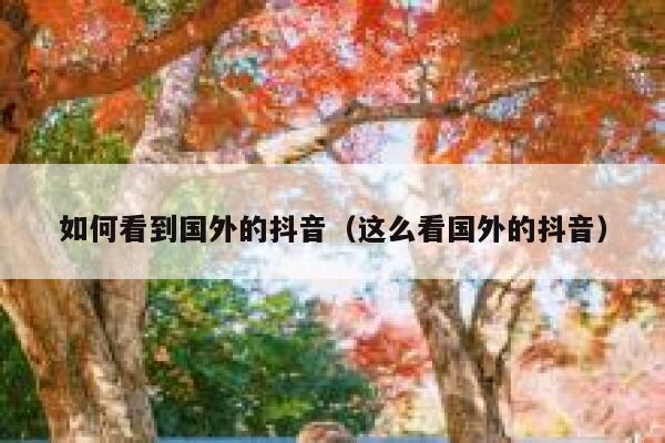 如何看到国外的抖音（这么看国外的抖音） 第1张