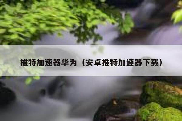 推特加速器华为（安卓推特加速器下载） 第1张