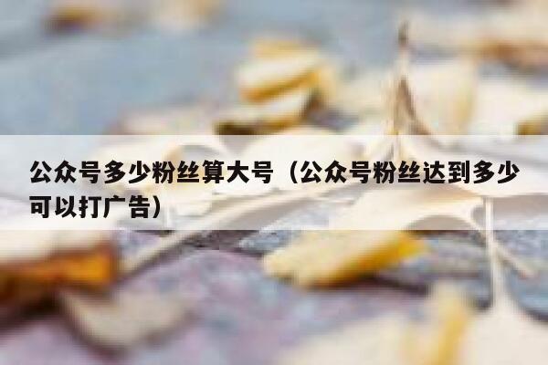 公众号多少粉丝算大号（公众号粉丝达到多少可以打广告） 第1张
