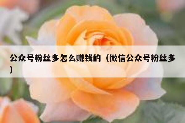 公众号粉丝多怎么赚钱的（微信公众号粉丝多） 第1张